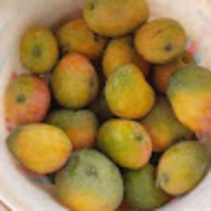 Meet your Posher, Cheick